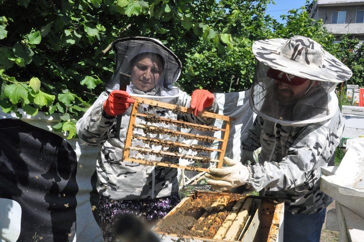 Kadın girişimci 'arı sütü' siparişlerine yetişemiyor G4