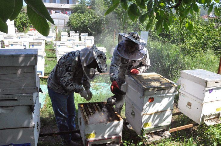 Kadın girişimci 'arı sütü' siparişlerine yetişemiyor G5