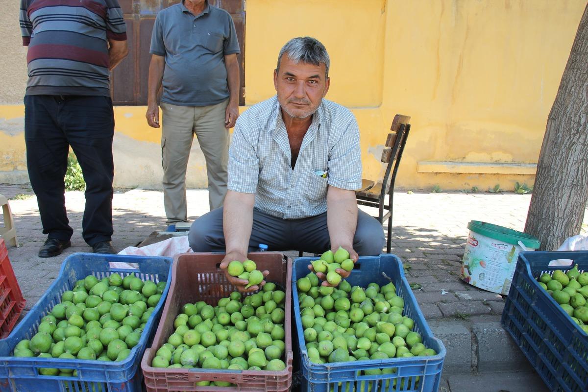 Bu pazarda içi milyonlarca sinek dolu meyve satılıyor! Kilosu 500 TL 1