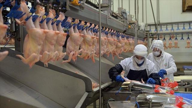 Beyaz et sektörüne dev operasyon! Bakan Gürlek duyurdu: 13 şirkete denetim kayyumu atandı