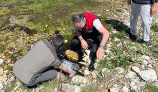 Uludağ'ın eteklerinde ahududu ve b&ouml;ğ&uuml;rtlen i&ccedil;in sulama projesi