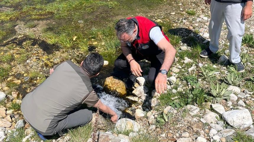 Uludağ'ın eteklerinde ahududu ve b&ouml;ğ&uuml;rtlen i&ccedil;in sulama projesi