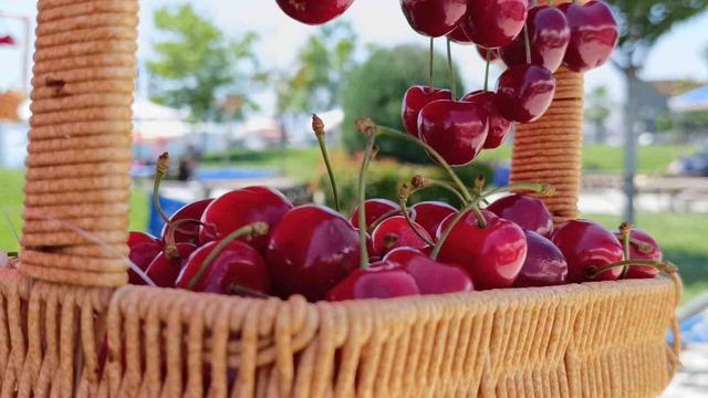Tekirdağ’da kiraz fiyatları düşüşe geçti: 250 TL’den 150-100 TL bandına geriledi 7