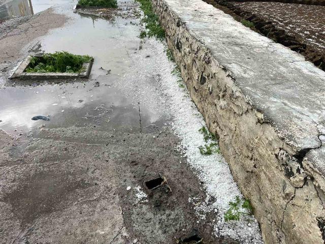 Kars&rsquo;ta dolu kabusu: Ara&ccedil;lar hasar g&ouml;rd&uuml;, &ccedil;ift&ccedil;i umudunu kaybetti 2