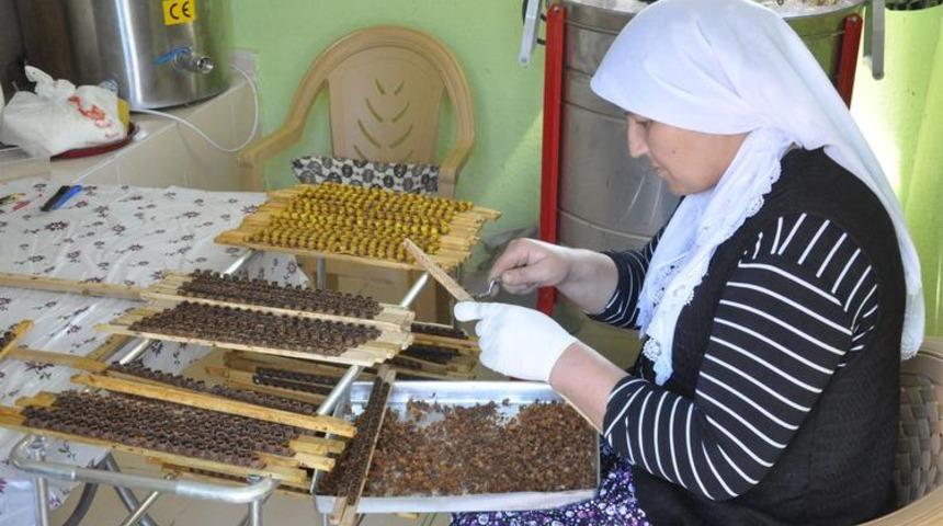 Tem bir şifa deposu: Kilosu 5 bin TL talebe yetişilemiyor