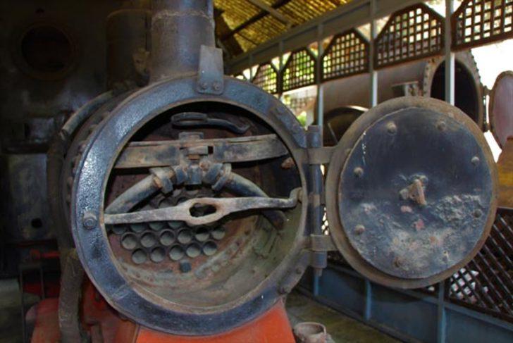 Müzeler paylaşamıyor! Dünya Amasya'dan duyacak G1