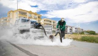 Mersin&rsquo;de sinek ve haşerelere karşı yoğun mesai