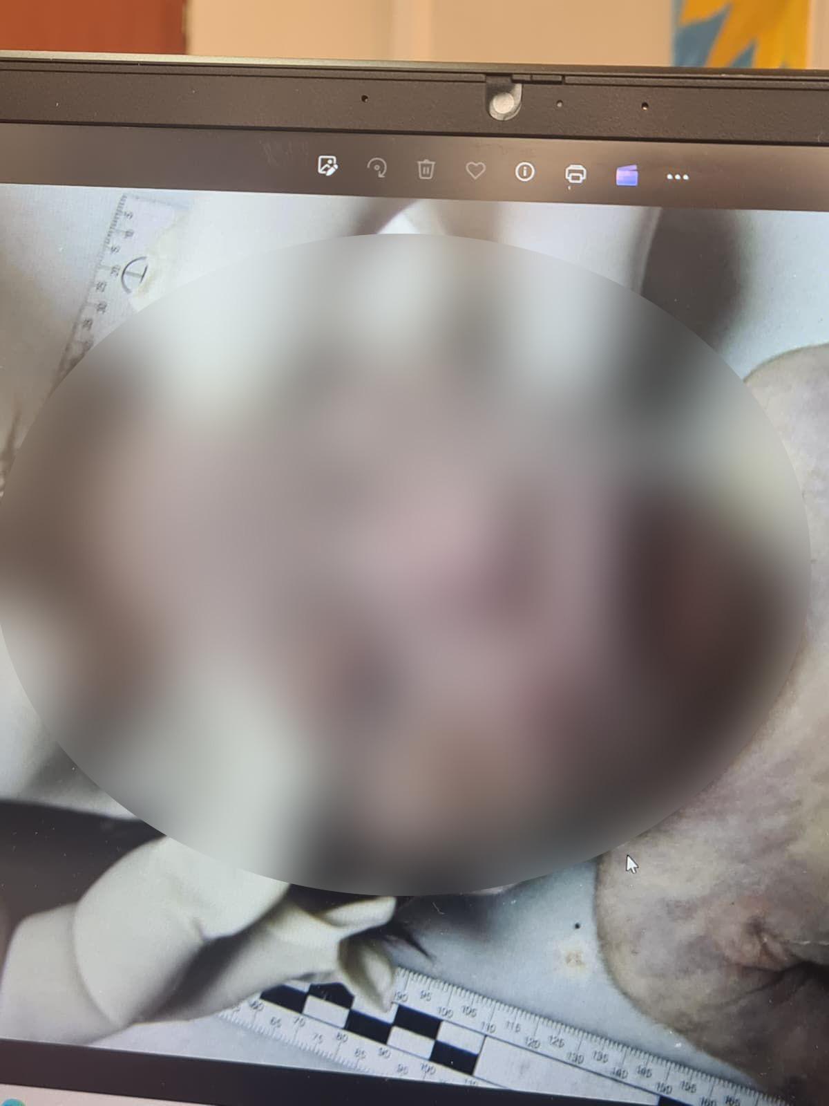 Kız bebeğini çöpe atmıştı! O annenin ifadesi ortaya çıktı: "Sonradan bulur yanıma alırım dedim" 2