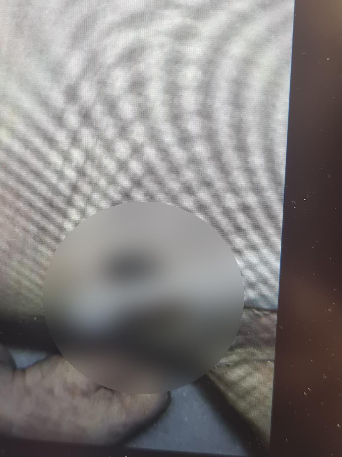 Kız bebeğini çöpe atmıştı! O annenin ifadesi ortaya çıktı: "Sonradan bulur yanıma alırım dedim" 5