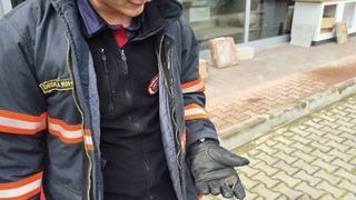 Yaralı yarasa koruma altına alındı