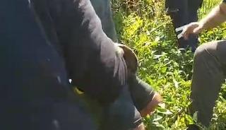 Kiraz toplamak i&ccedil;in &ccedil;ıktığı ağa&ccedil;tan d&uuml;şt&uuml;
