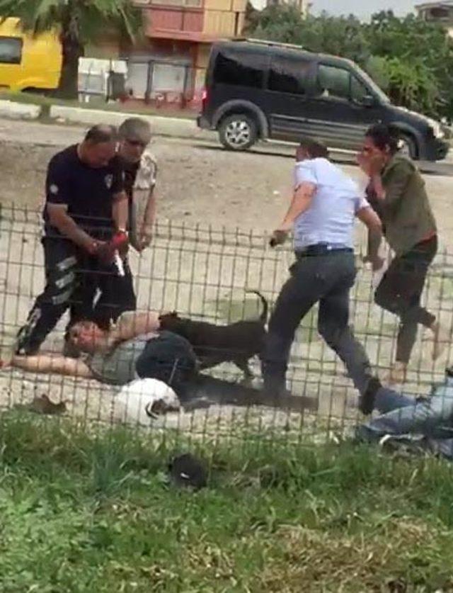 Polislere saldırttığı köpeği vurularak etkisiz hale getirildi