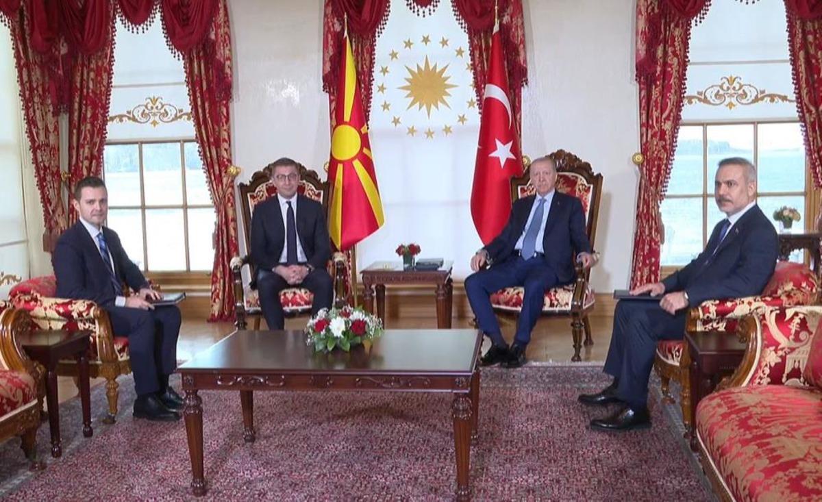 Cumhurbaşkanı Erdoğan, Kuzey Makedonya Başbakanı Mickoski&rsquo;yi kabul etti 1