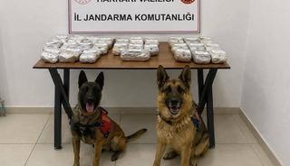 Hakkari&rsquo;de 21 kilo 650 gram toz esrar ele ge&ccedil;irildi