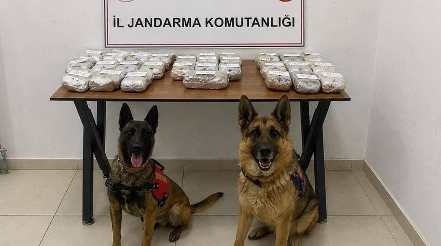 Hakkari&rsquo;de 21 kilo 650 gram toz esrar ele ge&ccedil;irildi