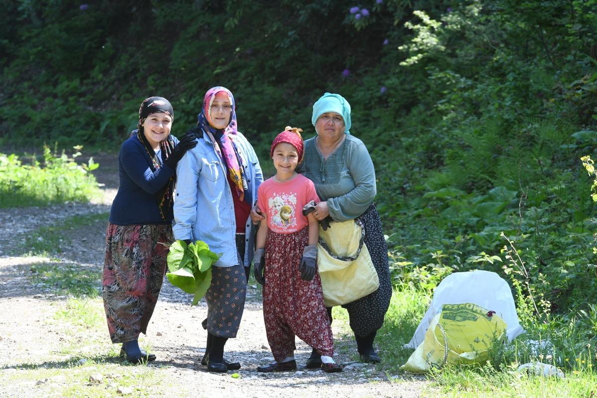 Gizli hazine için mesai başladı: Gelip topluyoruz 3