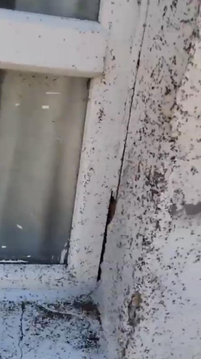 Gaziantep’in Oğuzeli ilçesinde sinek istilası 1