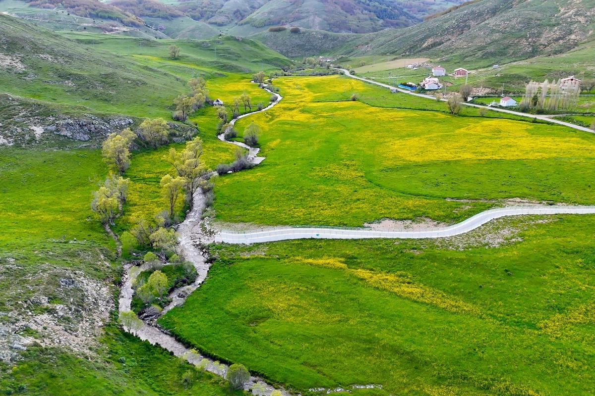 Sadece 20 gün sürüyor: Asıl olay vadi sararıp solunca başlıyor 1