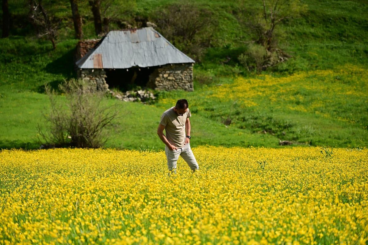 Sadece 20 gün sürüyor: Asıl olay vadi sararıp solunca başlıyor 2
