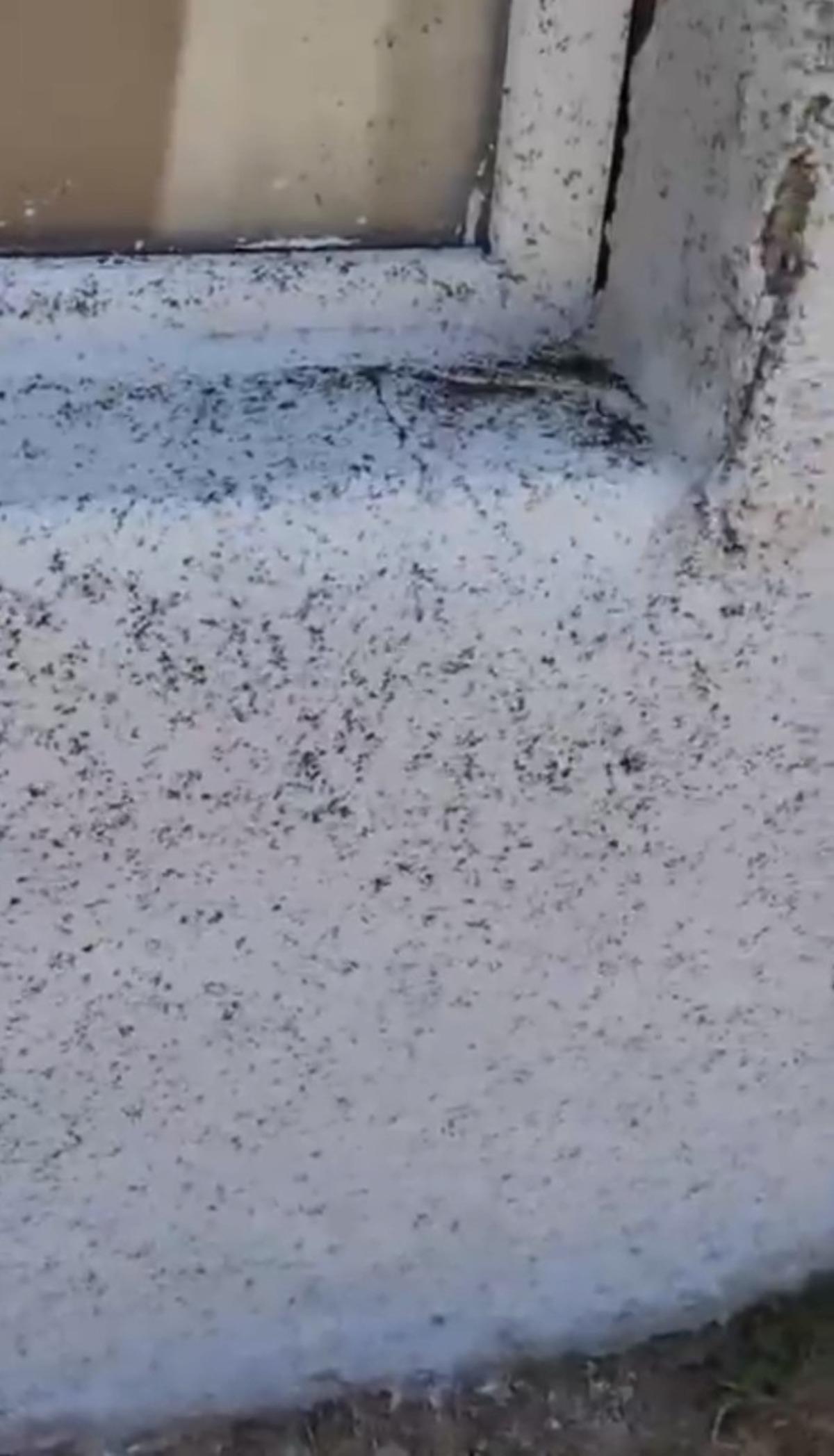 Bir ilçe istila altında! Bembeyaz duvar siyaha büründü 1