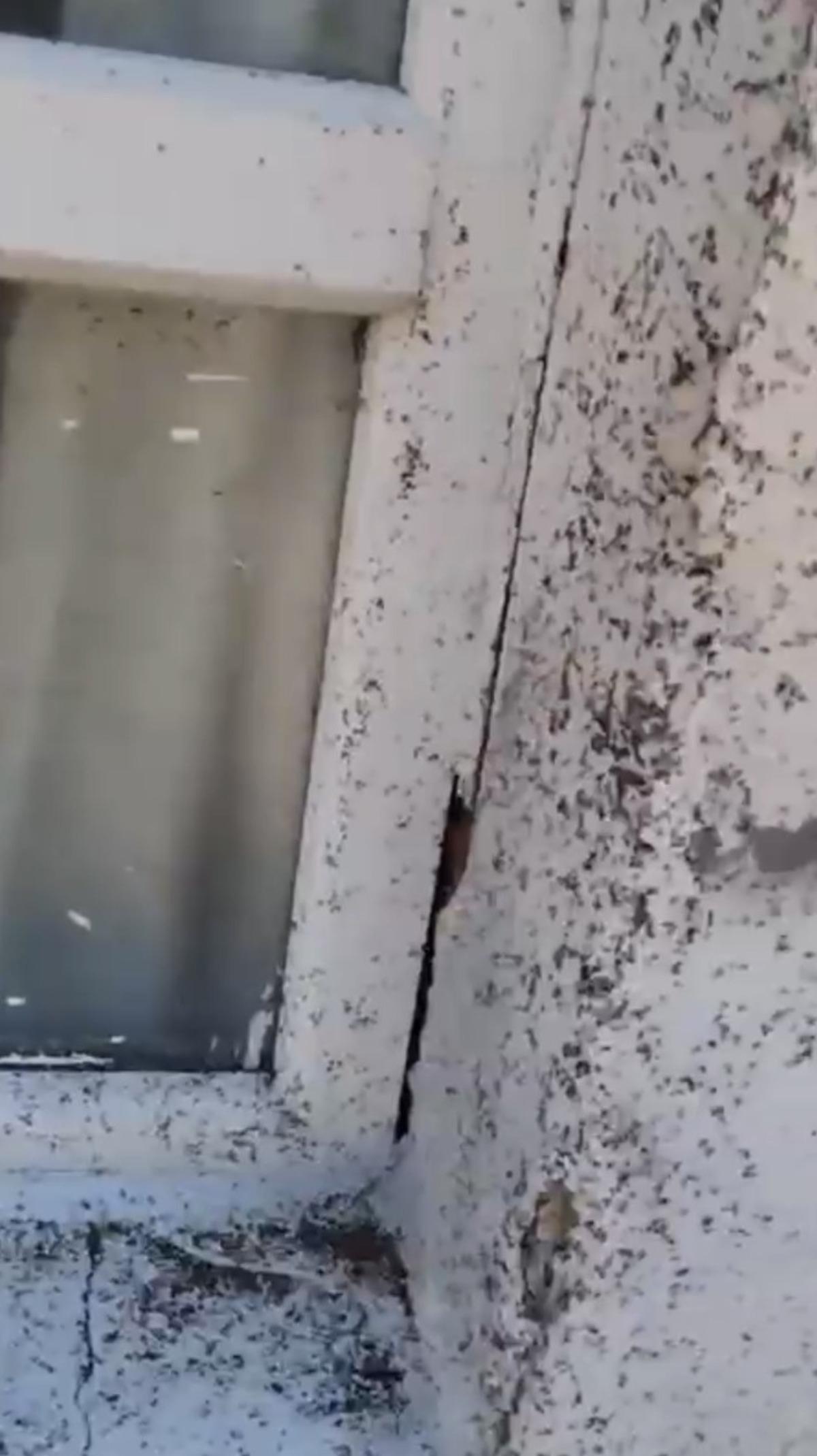 Bir ilçe istila altında! Bembeyaz duvar siyaha büründü 2