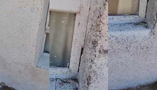 Bir il&ccedil;e istila altında! Bembeyaz duvar siyaha b&uuml;r&uuml;nd&uuml;