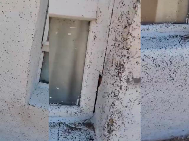 Bir il&ccedil;e istila altında! Bembeyaz duvar siyaha b&uuml;r&uuml;nd&uuml;