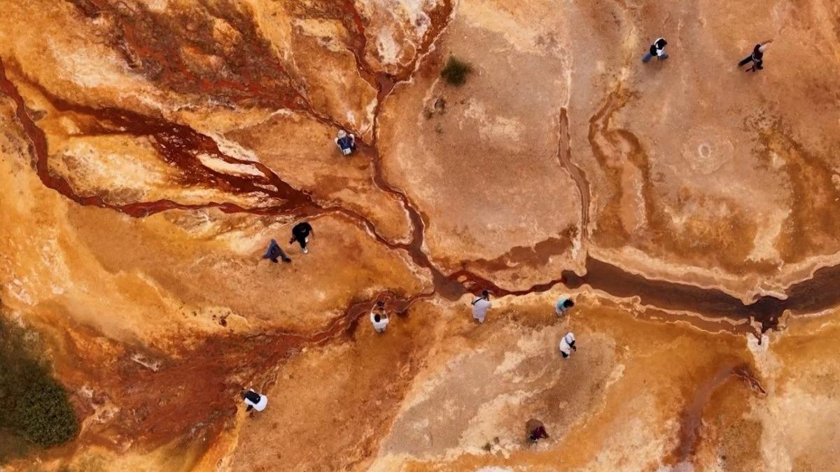 Dünyada tek: Çok nadir meydana geliyor, şifa saçıyor! 5