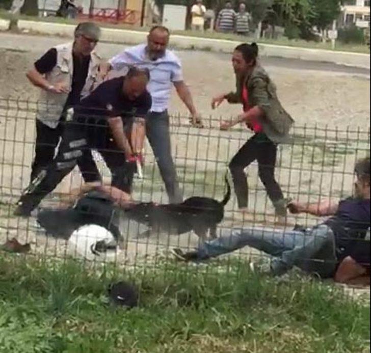 Pitbull dehşeti! Sahibi üzerinde saldı ortalık kan gölüne döndü G3