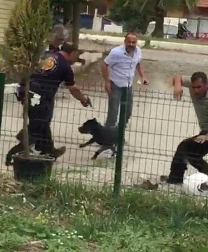 Pitbull dehşeti! Sahibi üzerinde saldı ortalık kan gölüne döndü G5