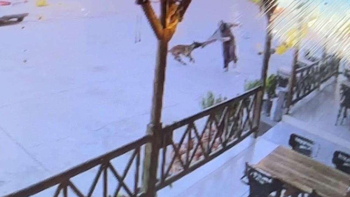 Afyonkarahisar da dehşet! K&ouml;pek, kadının kolunu par&ccedil;aladı: "Orada olmasaydık belki bug&uuml;n aramızda olmayabilirdi" 1