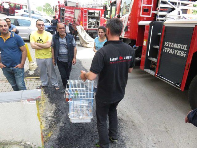 Maltepe'de yangın paniği