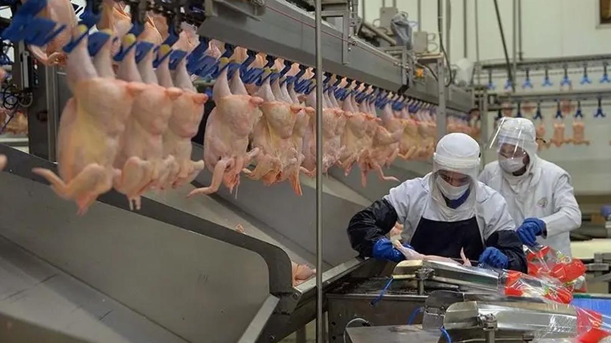 Beyaz et sekt&ouml;r&uuml; soruşturmasında yeni gelişme: 29 ş&uuml;pheli adli kontrol şartıyla serbest bırakıldı 1