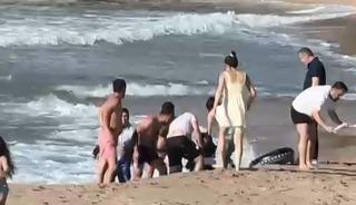 Denizde boğulma tehlikesi ge&ccedil;iren 2 kişi kurtarıldı