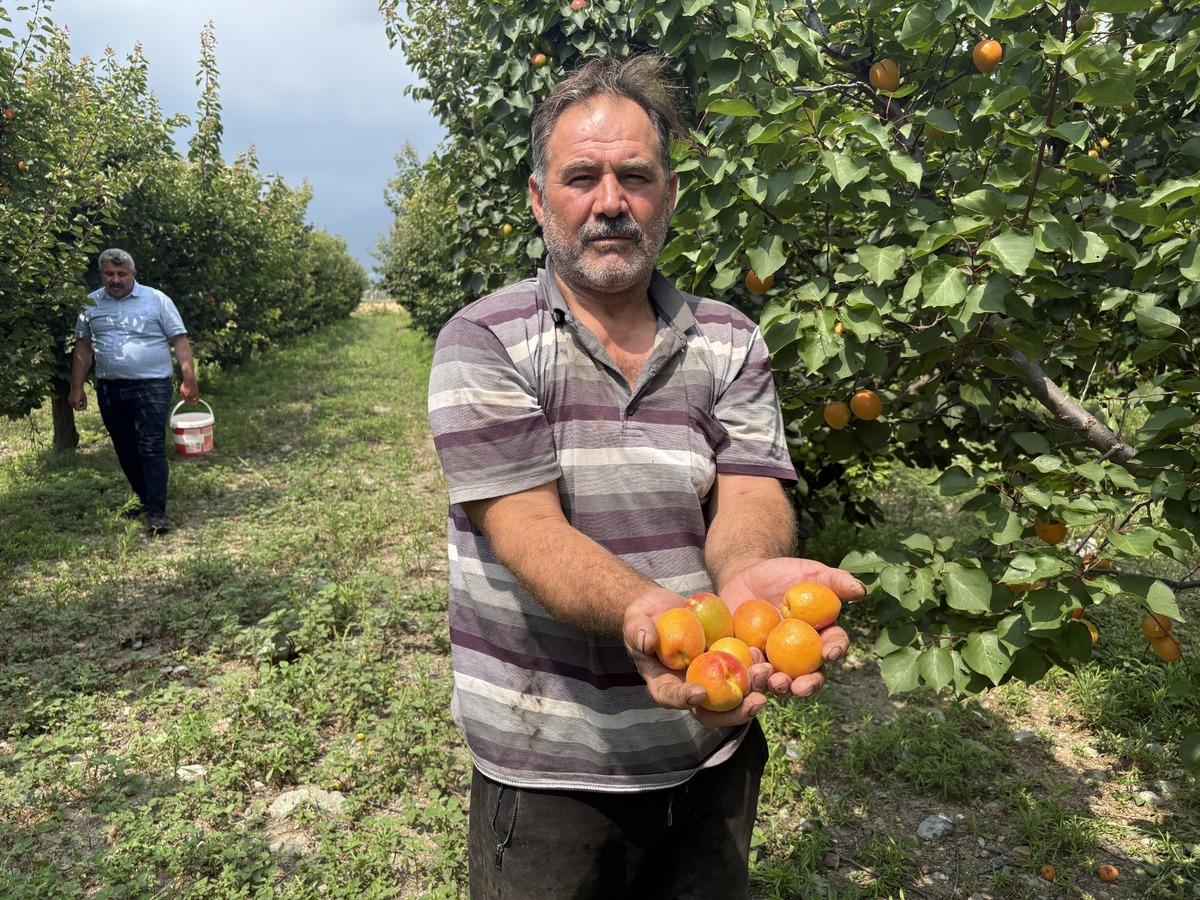 M&uuml;hendisin tavsiyesiyle yaptı  Geliri &ccedil;ok iyi  3