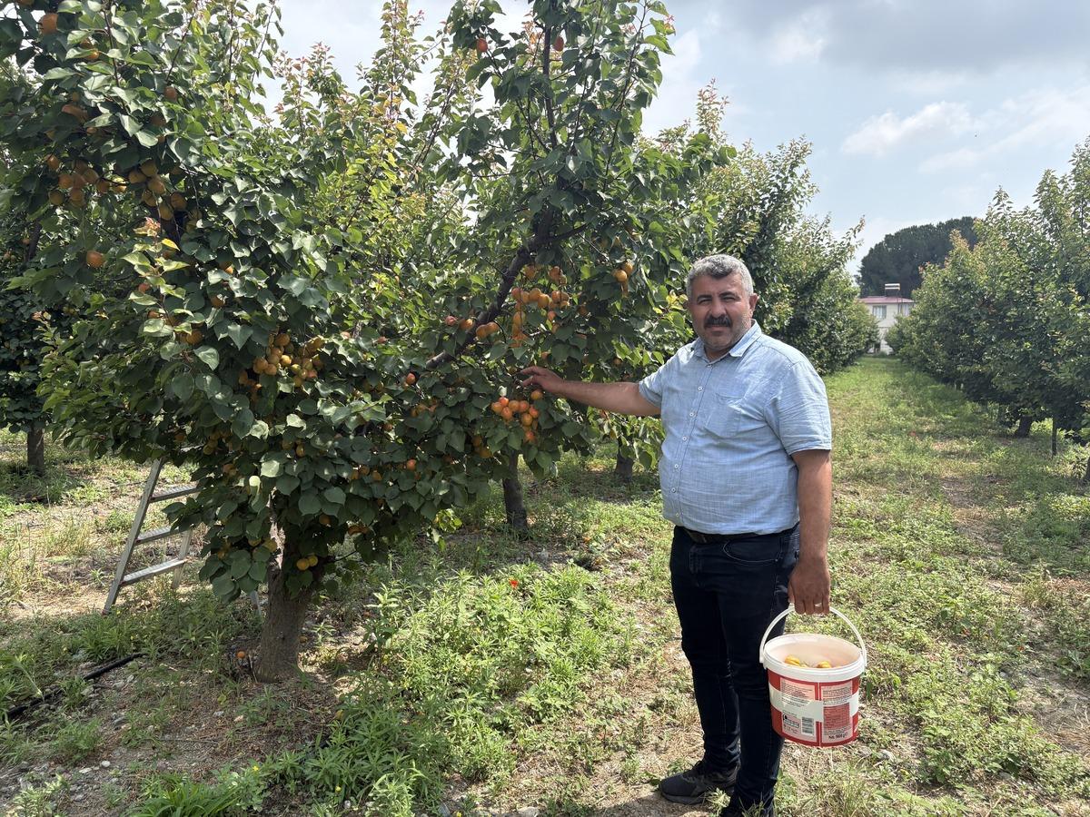 M&uuml;hendisin tavsiyesiyle yaptı  Geliri &ccedil;ok iyi  4