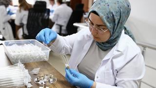 Giresun'da üretilen samuray arıları 5 ilde doğaya bırakılacak