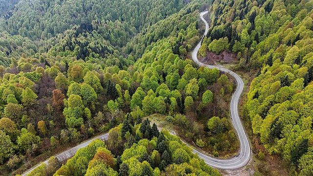 Tarım ve Orman Bakanı Yumaklı'dan orman yangınlarına karşı uyarı!