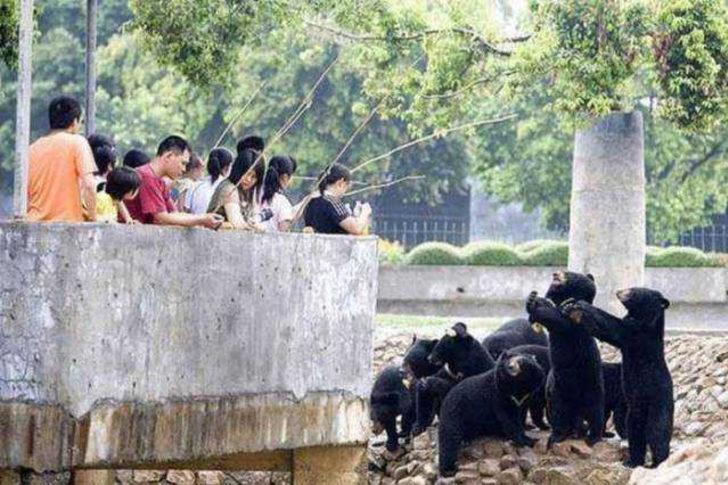 Dünyayı şaşırtan ülke Çin'den ilginç manzaralar  G1