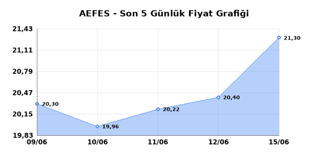 ANADOLU EFES (AEFES) 16 Haziran Salı 2026 G&uuml;nl&uuml;k Teknik Analiz 1