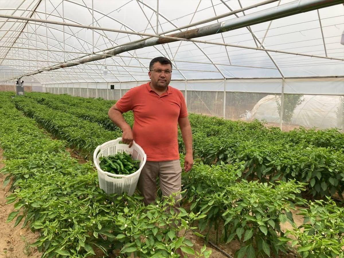 Kilosu 350 TL ama ilgi &ccedil;ok: Kısa s&uuml;rede t&uuml;keniyor, yok satıyor 1