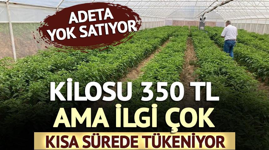 Kilosu 350 TL ama ilgi &ccedil;ok: Kısa s&uuml;rede t&uuml;keniyor