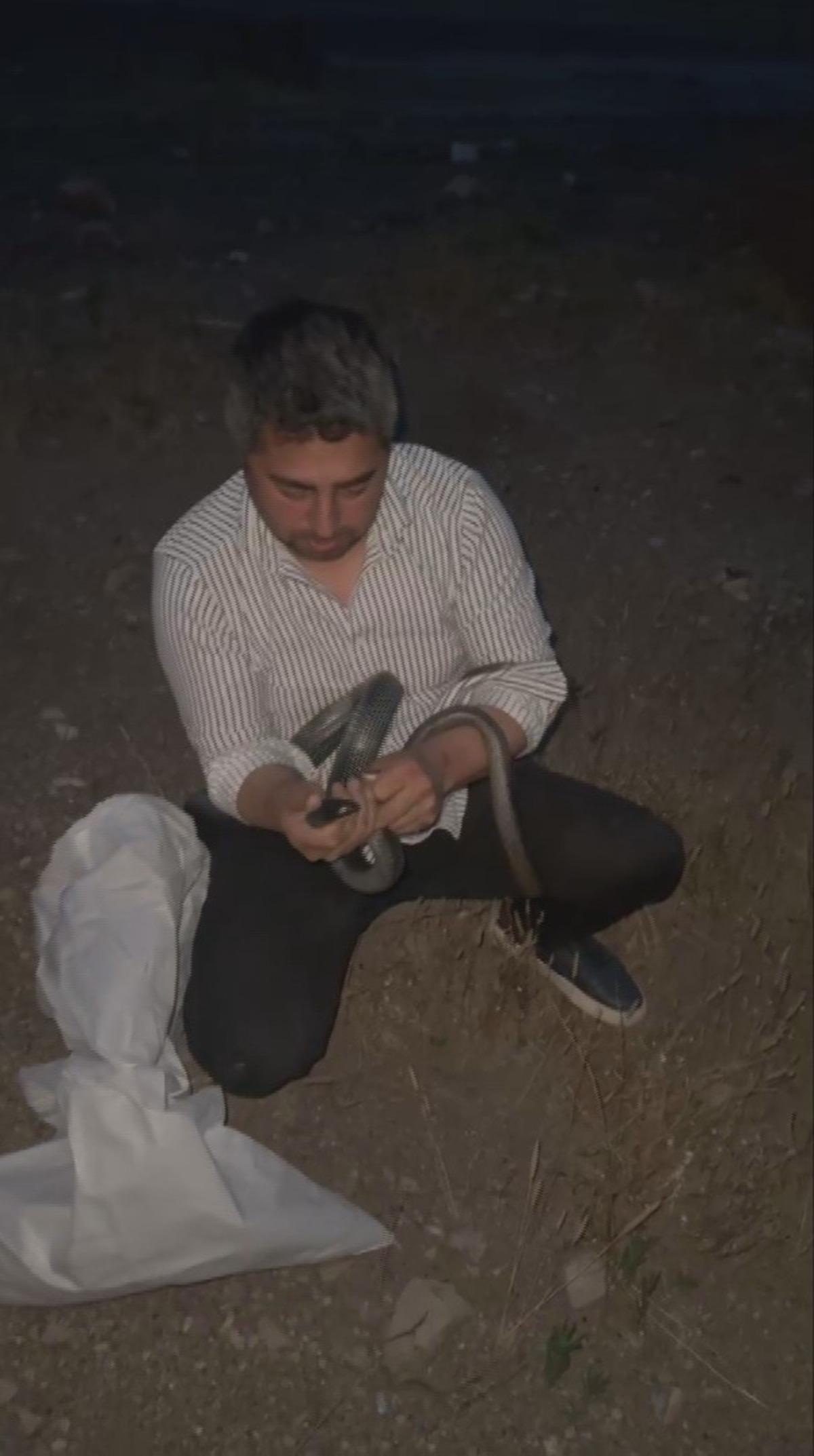 Yılanlara fısıldayan adam: Koluna dolanan 2 dev yılanı saklandıkları delikten böyle çıkardı 1
