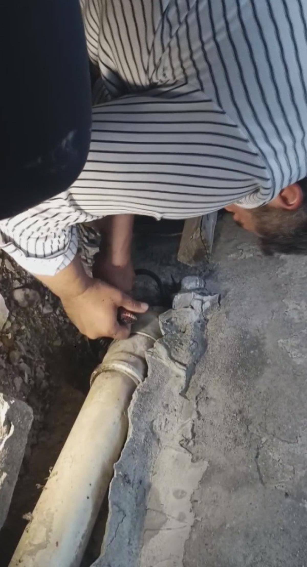 Yılanlara fısıldayan adam: Koluna dolanan 2 dev yılanı saklandıkları delikten böyle çıkardı 3