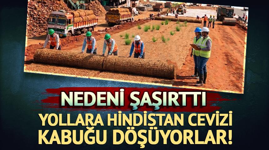 Yollara Hindistan cevizi kabuğu d&ouml;ş&uuml;yorlar! İşte şaşırtan nedeni