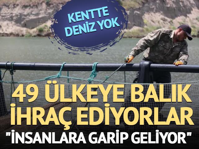 Denizi olmayan ilimizden 49 &uuml;lkeye balık ihracı! 