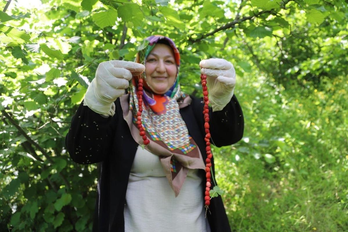 Dağlarda kendiliğinden yetişiyor: Dağ çileği reçeli tescillendi 1