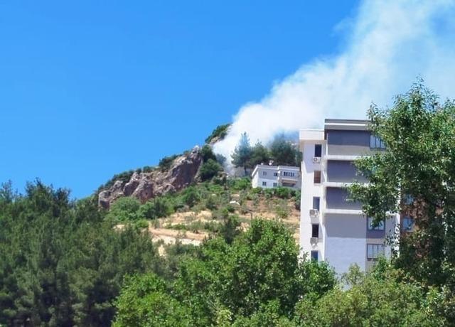 Kahramanmaraş&rsquo;ta orman yangını 1