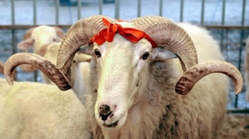 Kurban Bayramı ne zaman? 2018 Kurban Bayramı tatili ka&ccedil; g&uuml;n olacak?