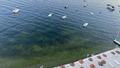 Ge�en hafta m�silaj vard� �imdi deniz yeniden berrakla�t�!